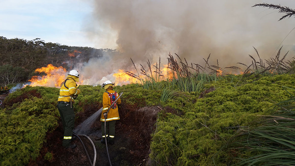 Weekend Heatwave: Fire Danger Soars Across NSW and Queensland