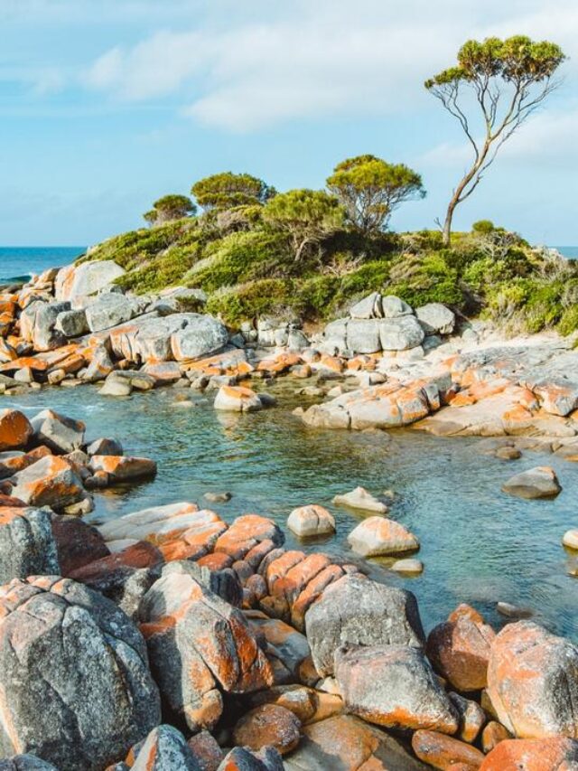 Cost of Living at Australia’s 10 Best Beaches in 2025 – Find Your Dream Coastal Home!